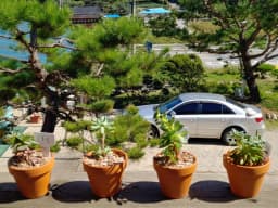 박달재요양원