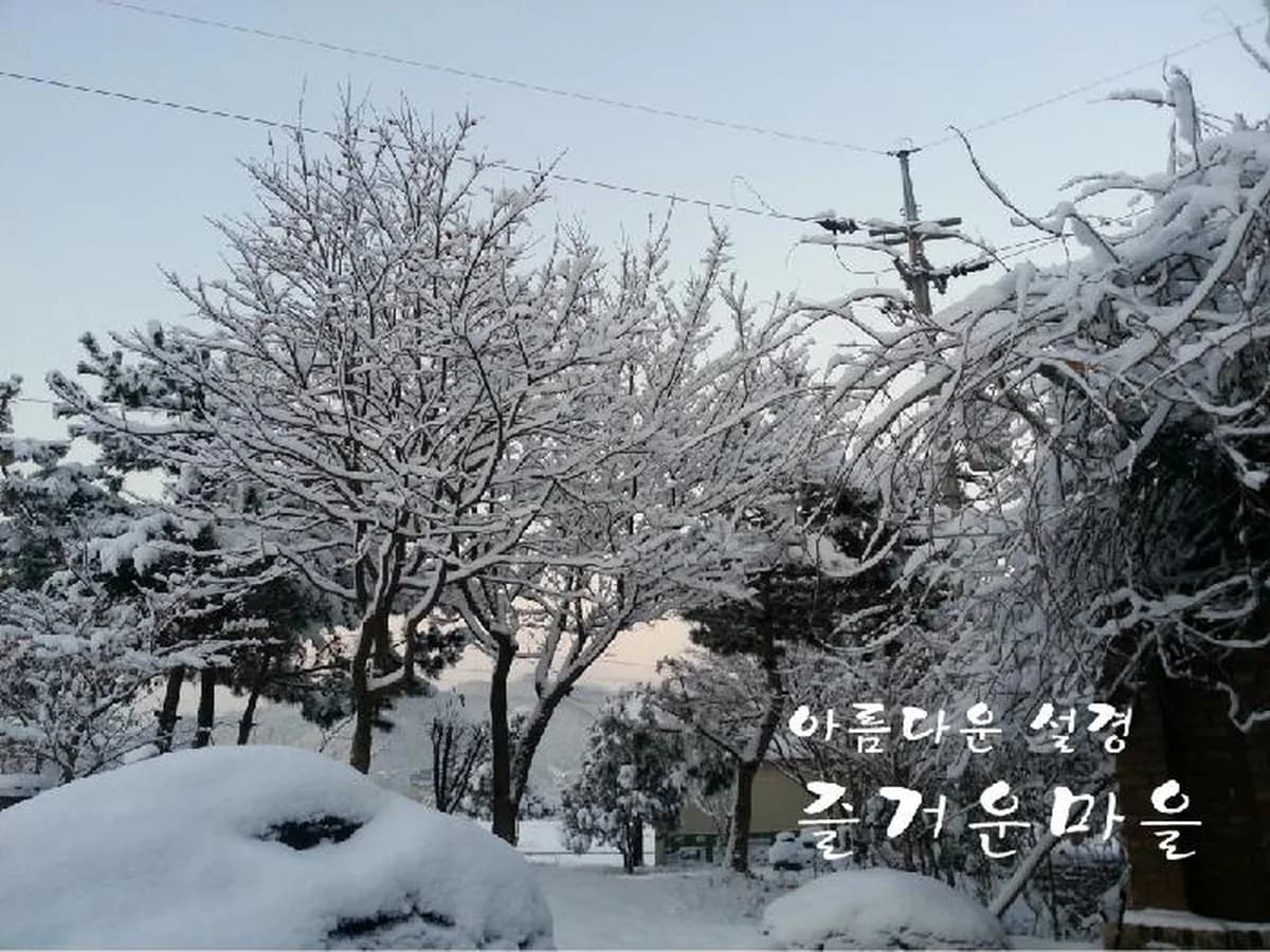 즐거운요양원 이미지 5