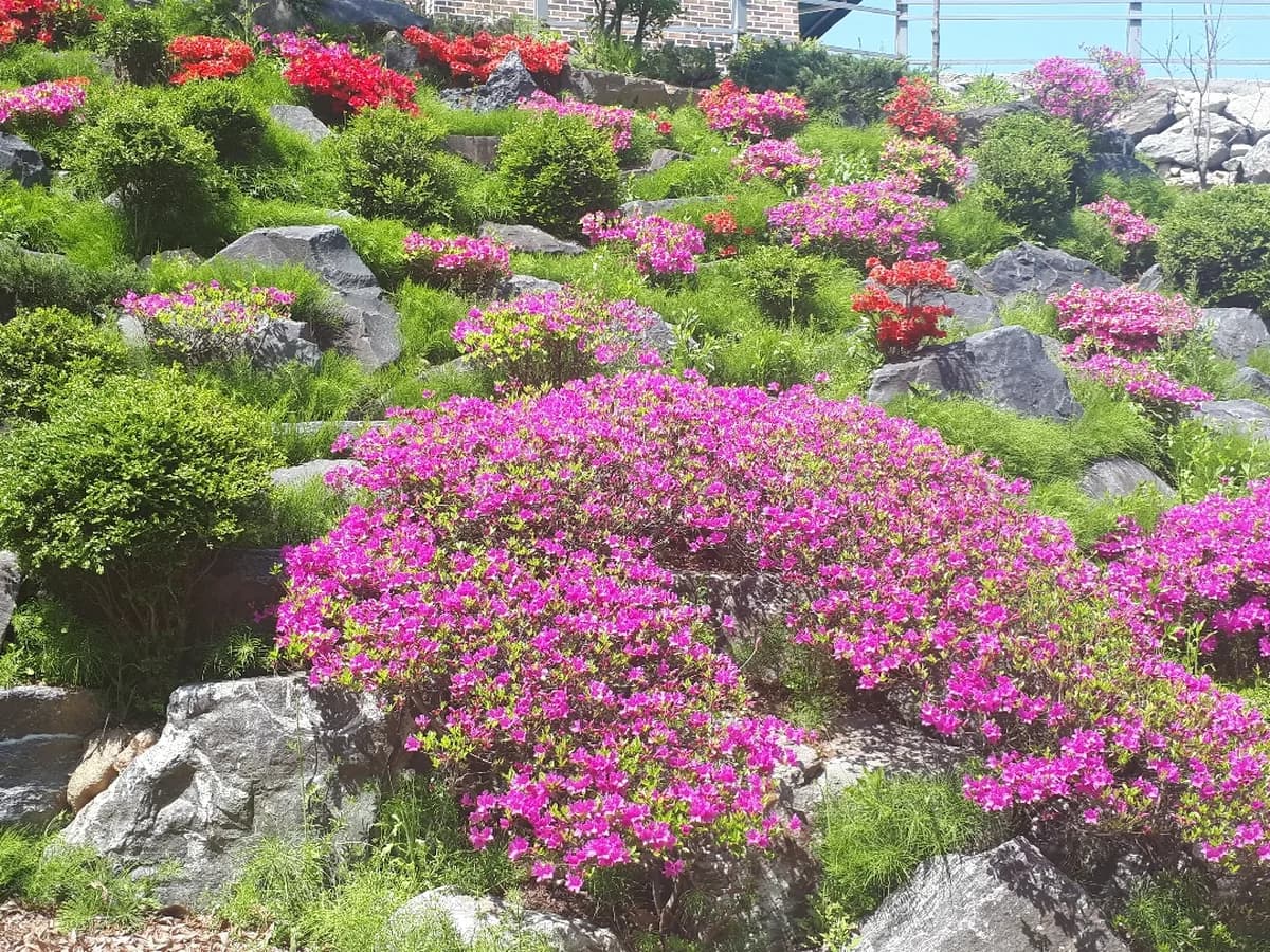 희락원 이미지 5