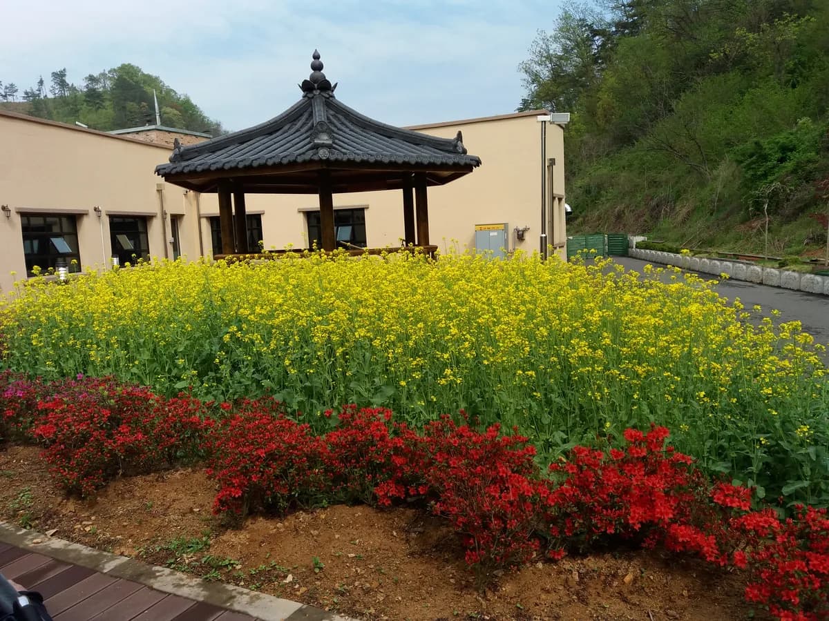 늘편한노인전문요양원 이미지 4