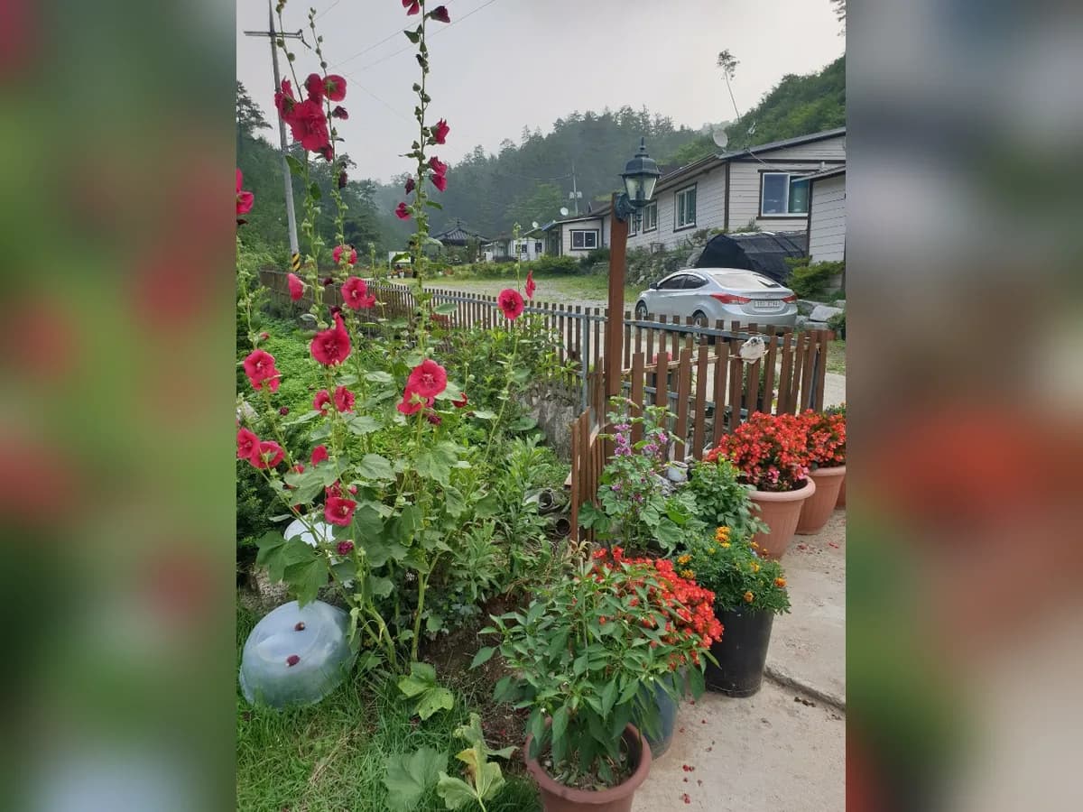 영동요양원 이미지 1