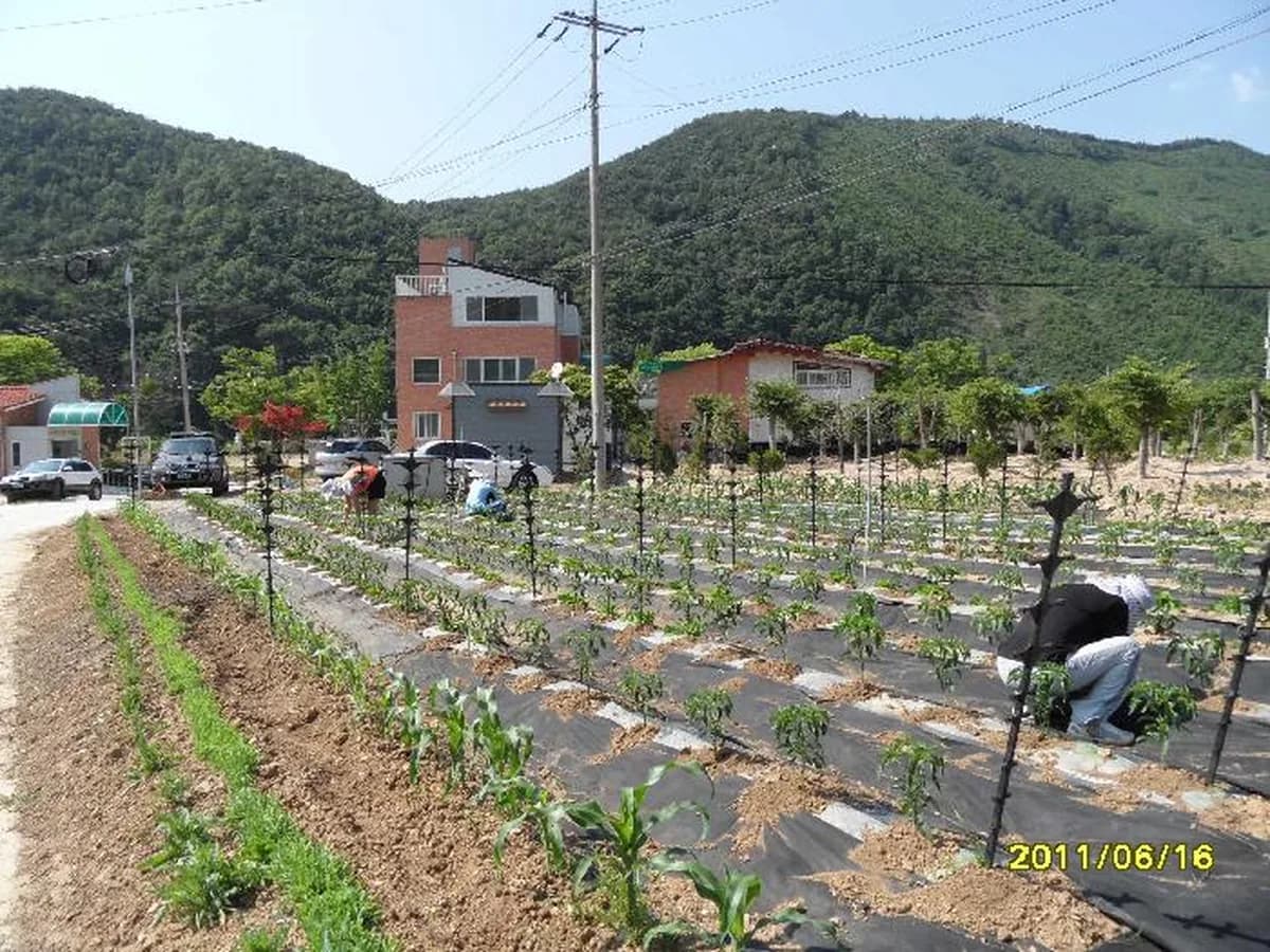 선한이웃의집 이미지 8