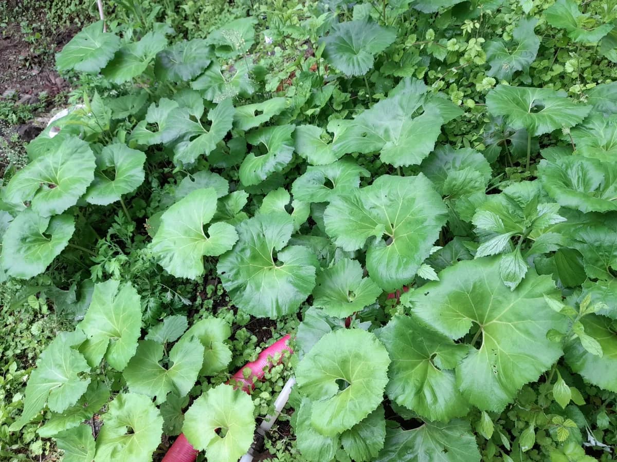 괴산제일요양원 이미지 2