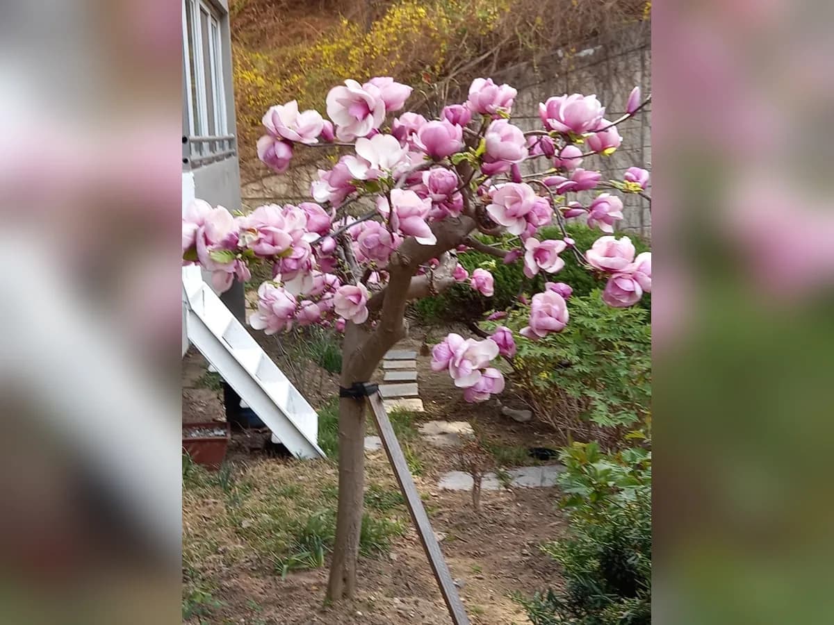 미소의집 이미지 1