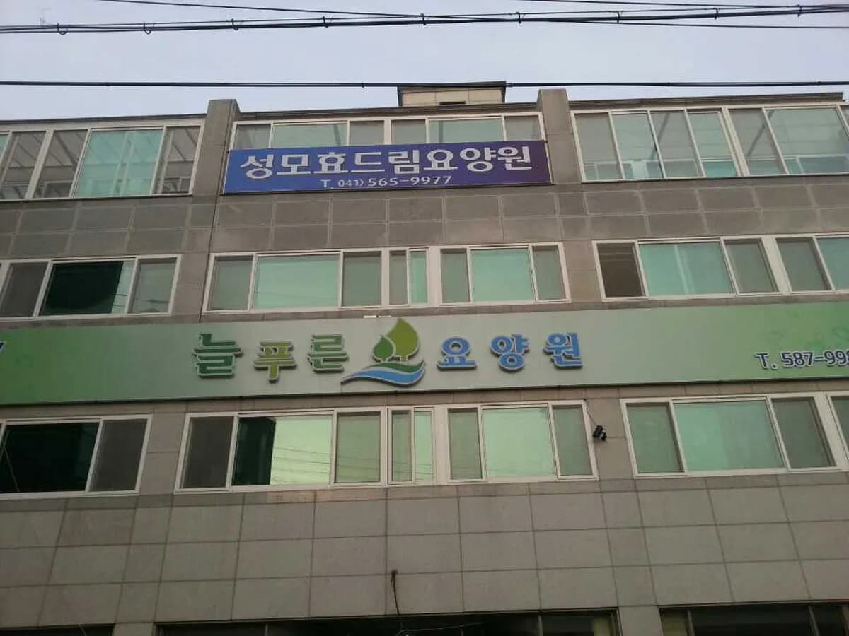 성모효드림요양원 이미지 1