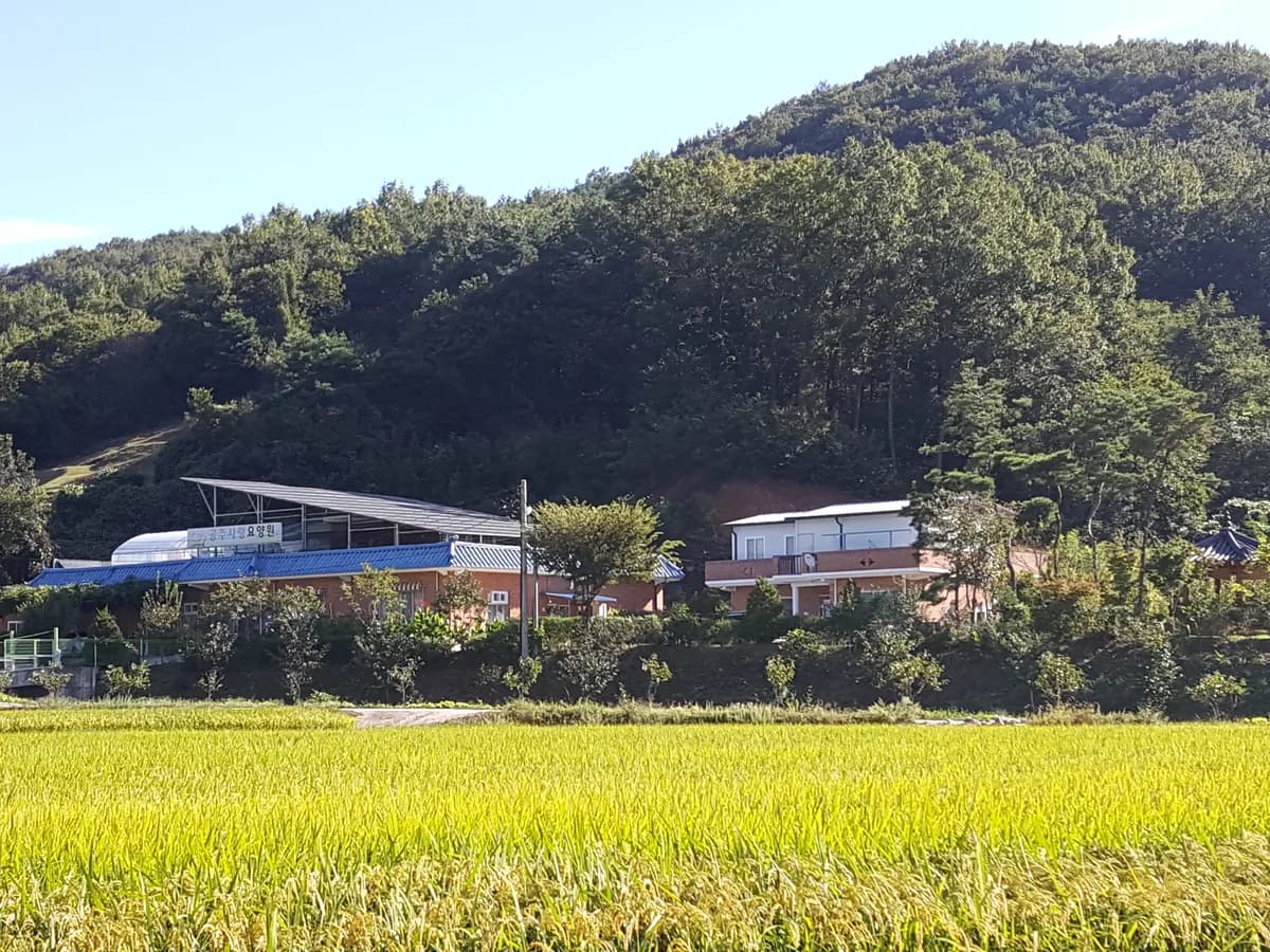 공주사랑요양원 이미지 5