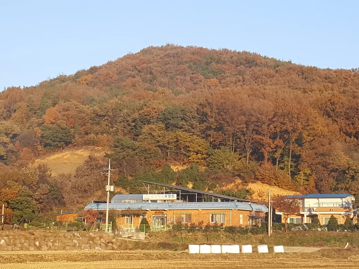 공주사랑요양원 이미지 6