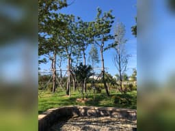 성심요양원
