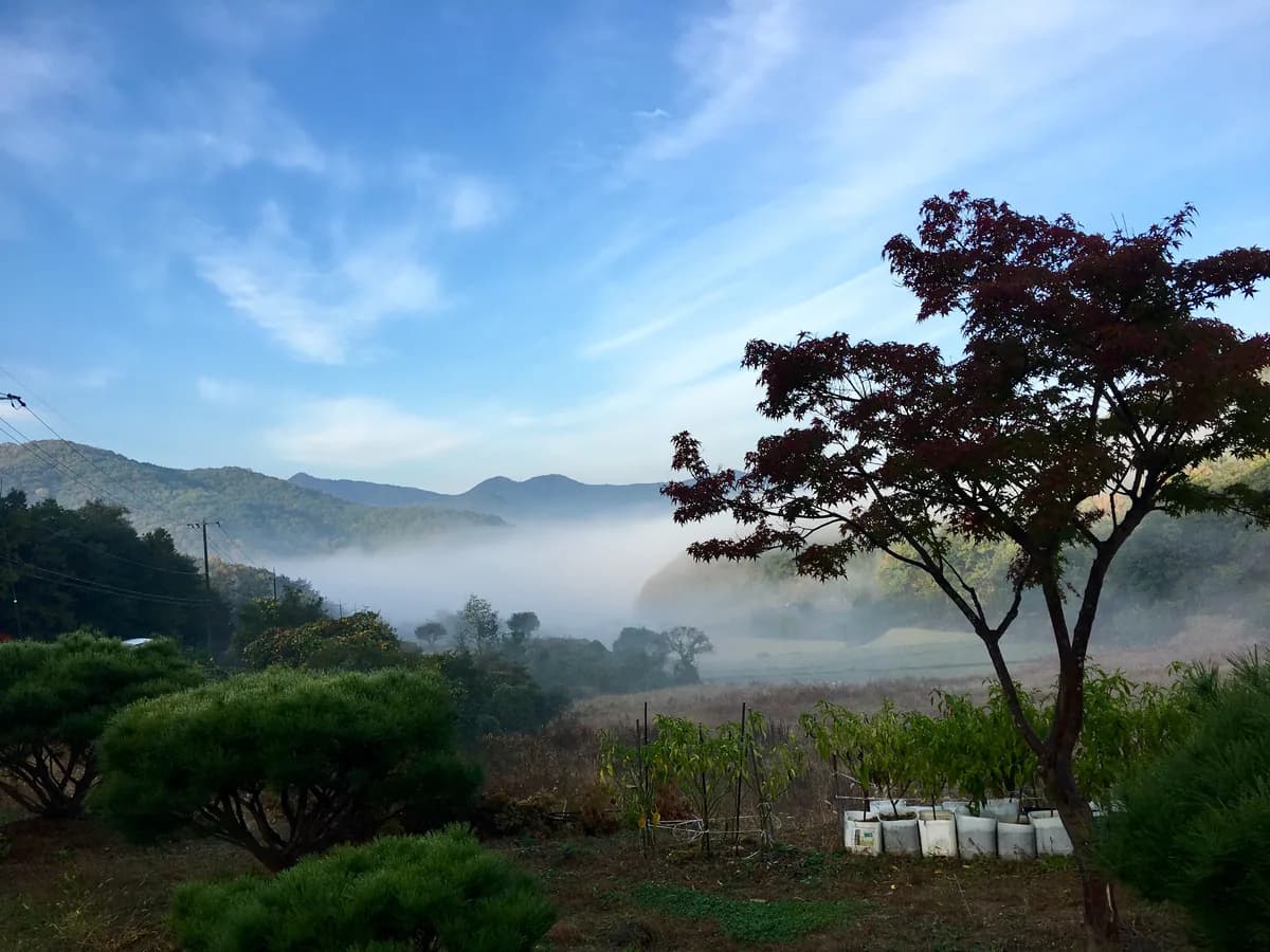 아산실버요양원 이미지 1