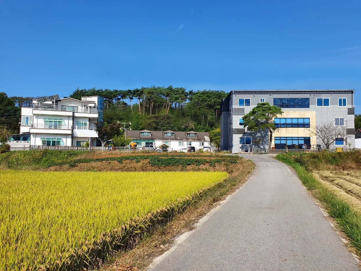 수린목요양원 이미지 2