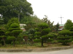 고향의집