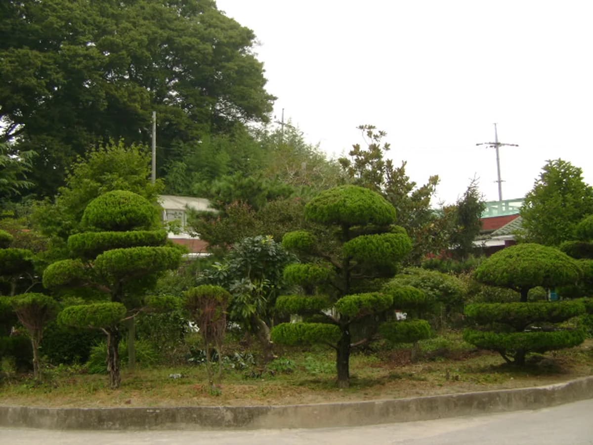 고향의집 이미지 1