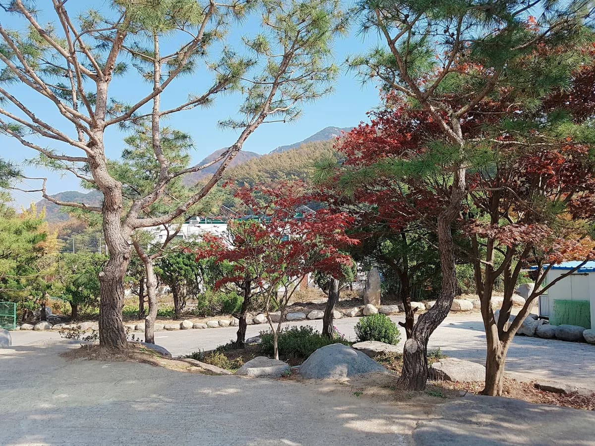 참사랑요양원 이미지 4