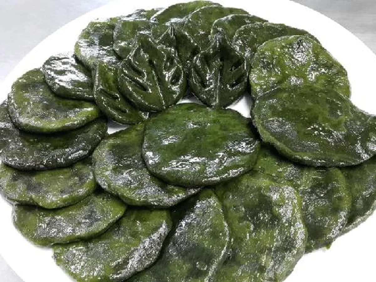 늘푸른집 이미지 6