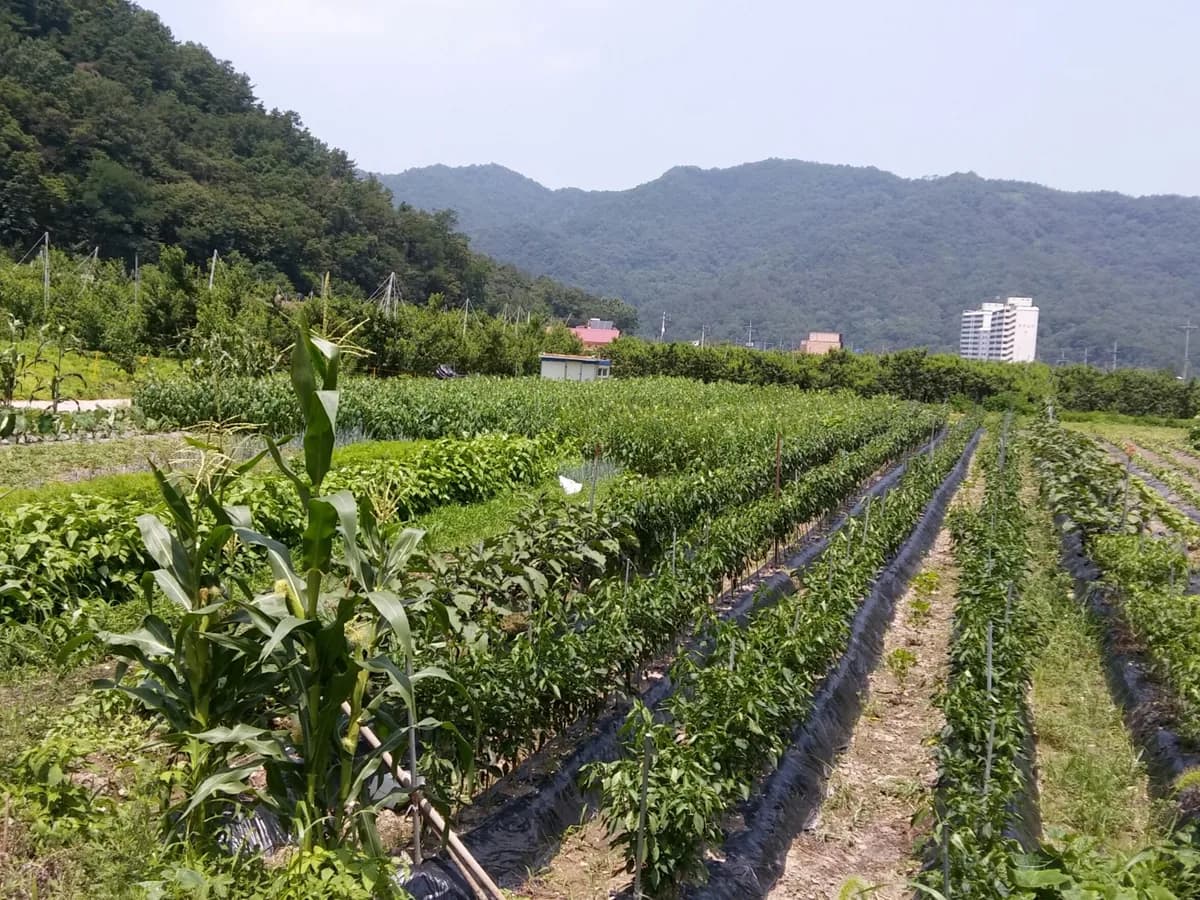 사랑마을아가페하우스 이미지 4