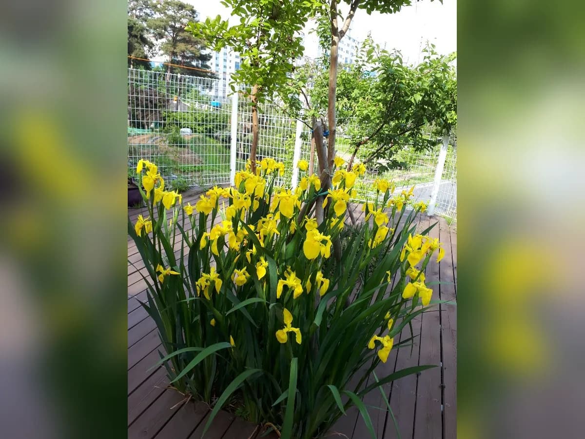 한빛노인복지센터 이미지 6