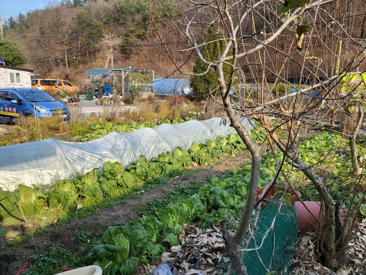 새샘노인요양원 이미지 4