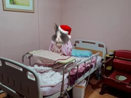 가나안요양원