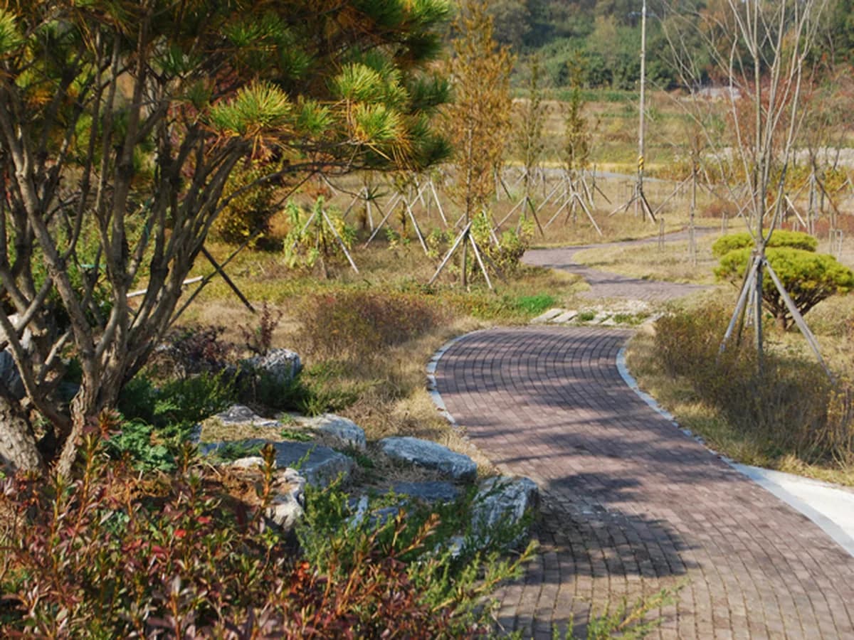 성모전문요양원 이미지 7