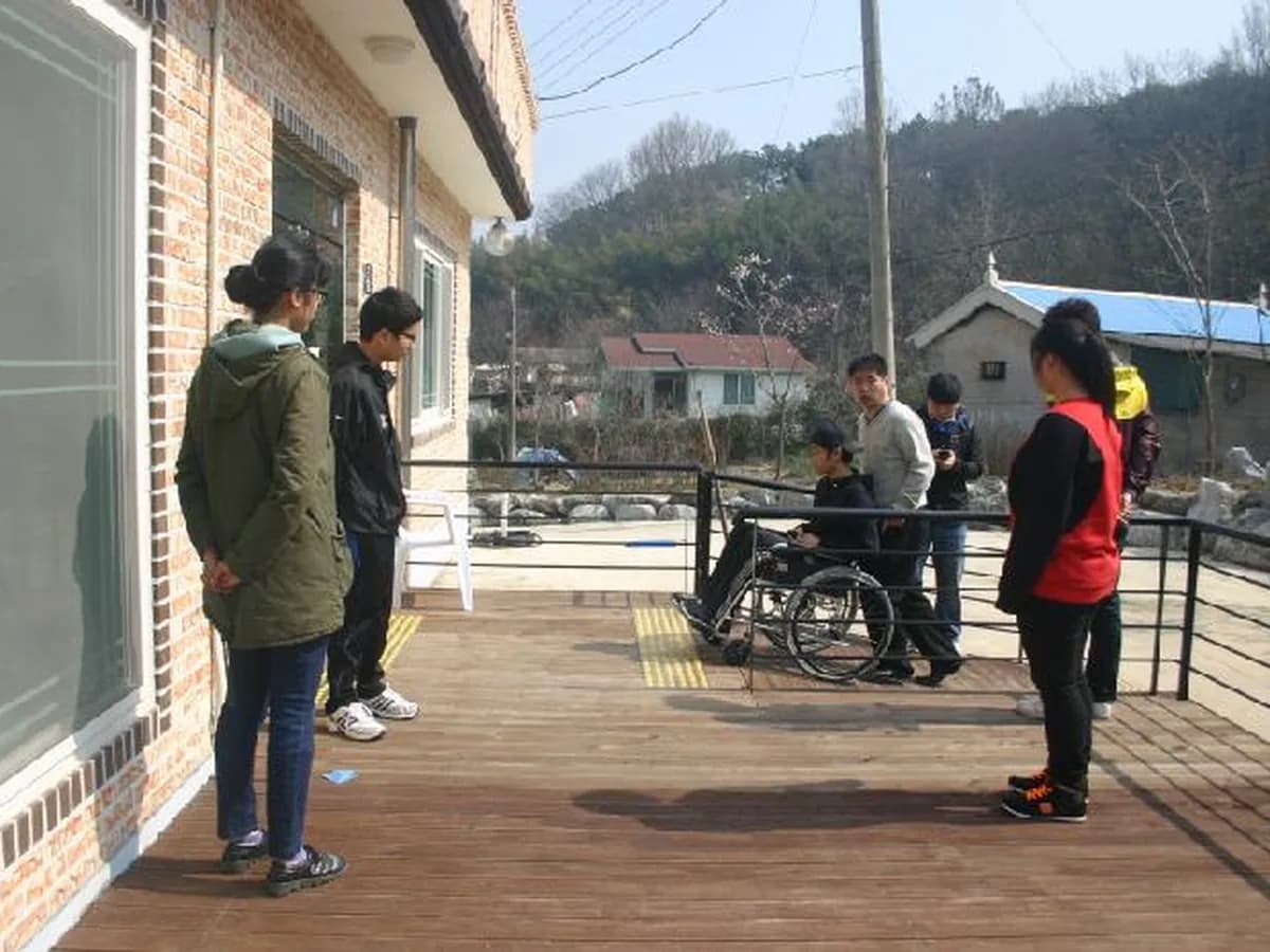 느티나무 이미지 5
