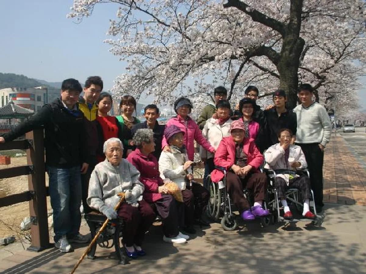 느티나무 이미지 6