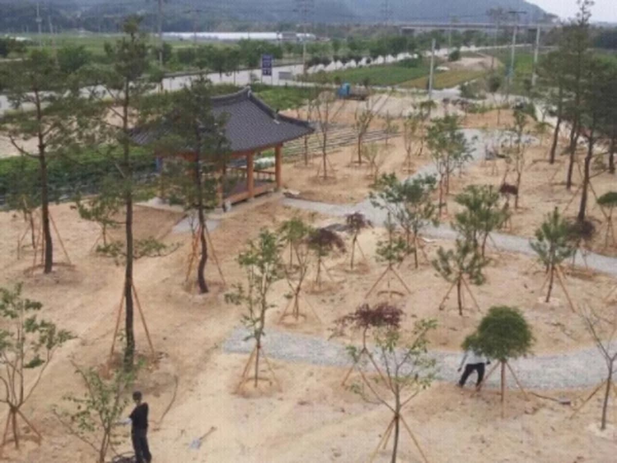 살림노인복지센터 이미지 5