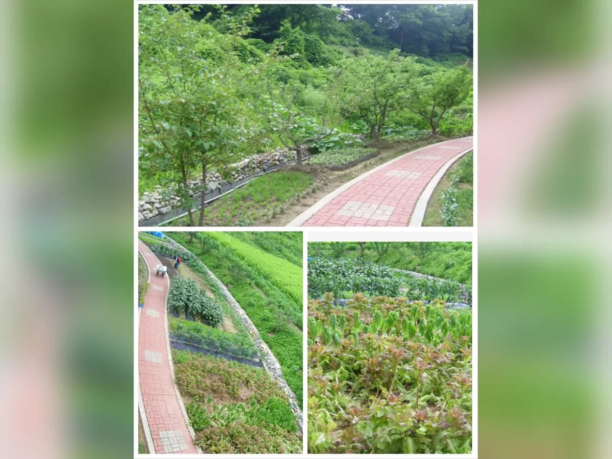 구이노인요양원 이미지 4