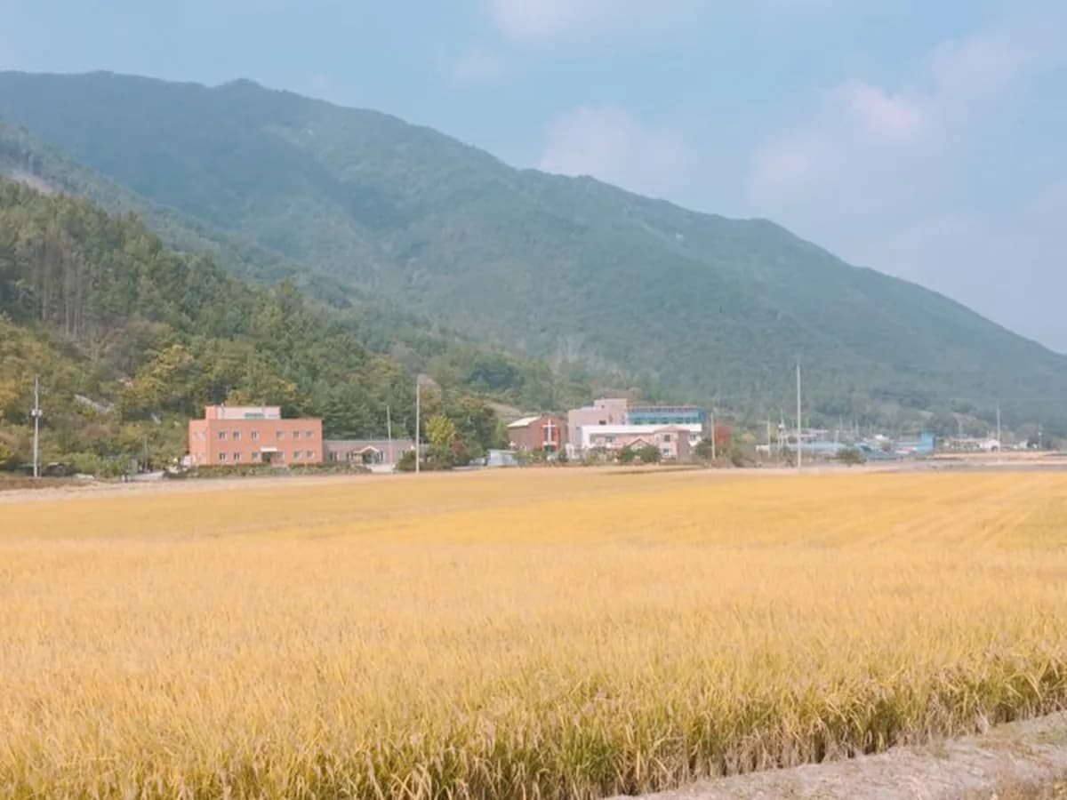 백운노인선교원 이미지 4