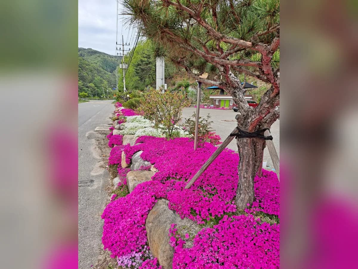 실로암요양원 이미지 1