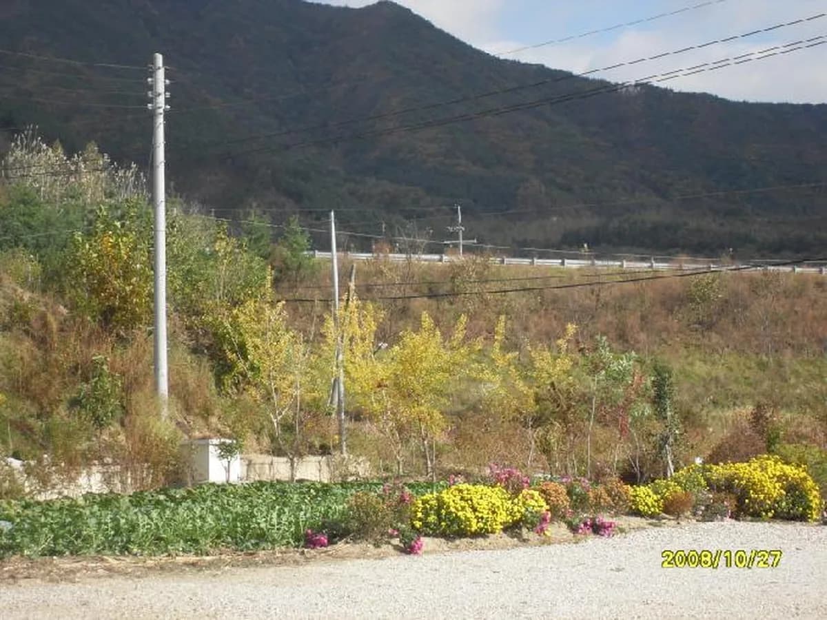 밀알 그룹 홈 이미지 1