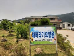 해바라기