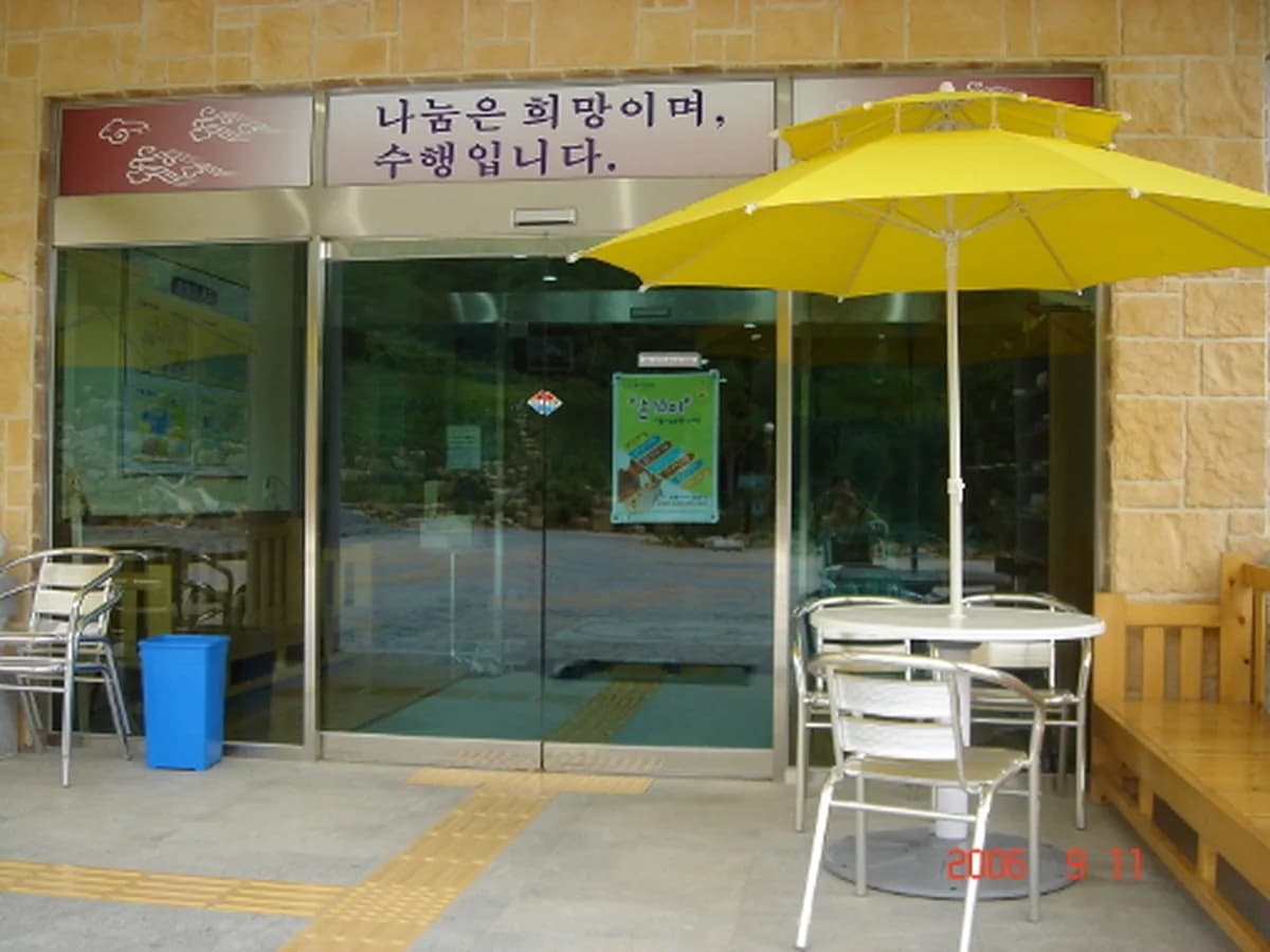 하얀연꽃 이미지 4