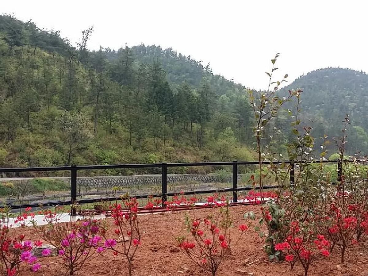 복지타운 마리아 노인요양원 이미지 3