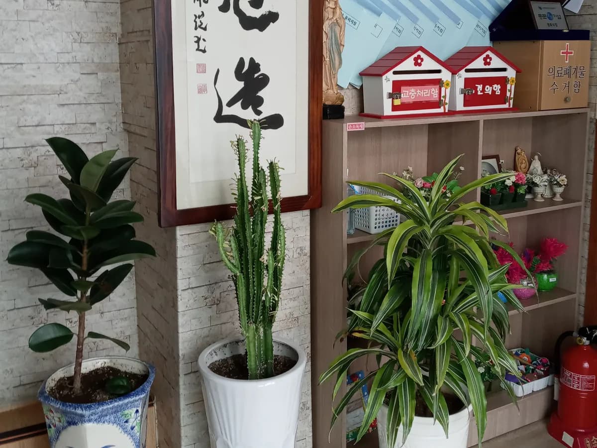 평화의집노인요양원 이미지 2