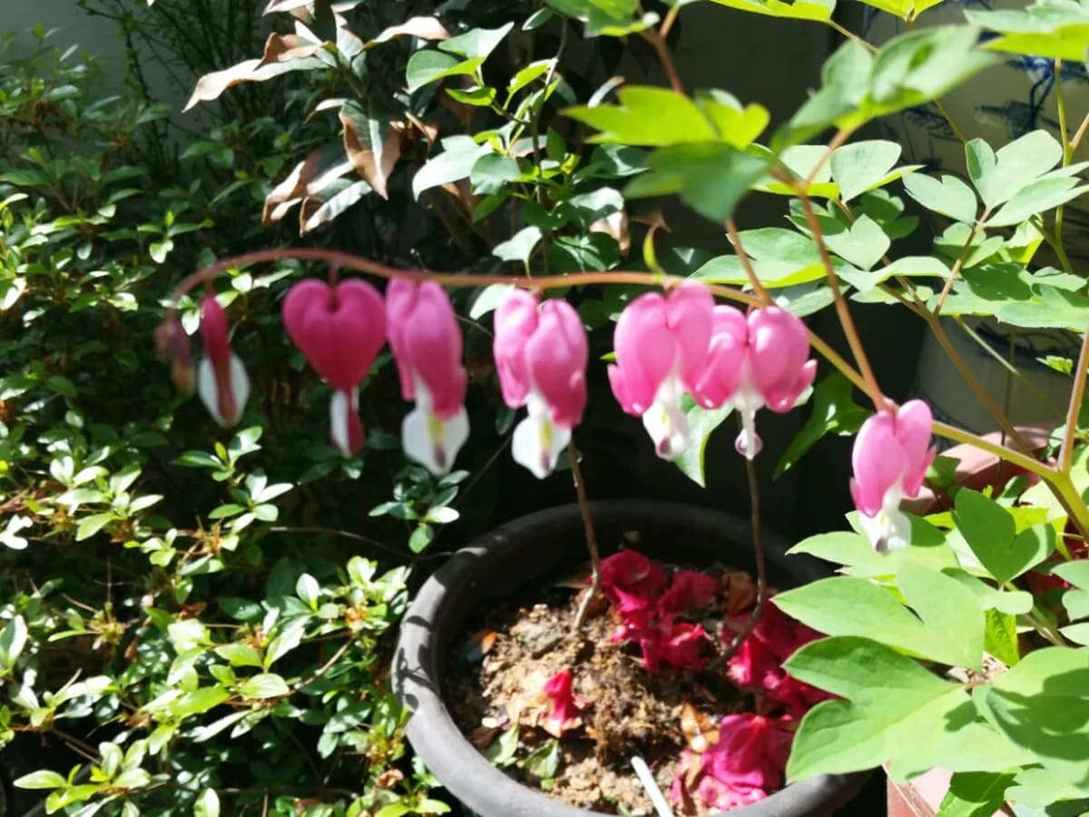 우리동산요양원 이미지 8
