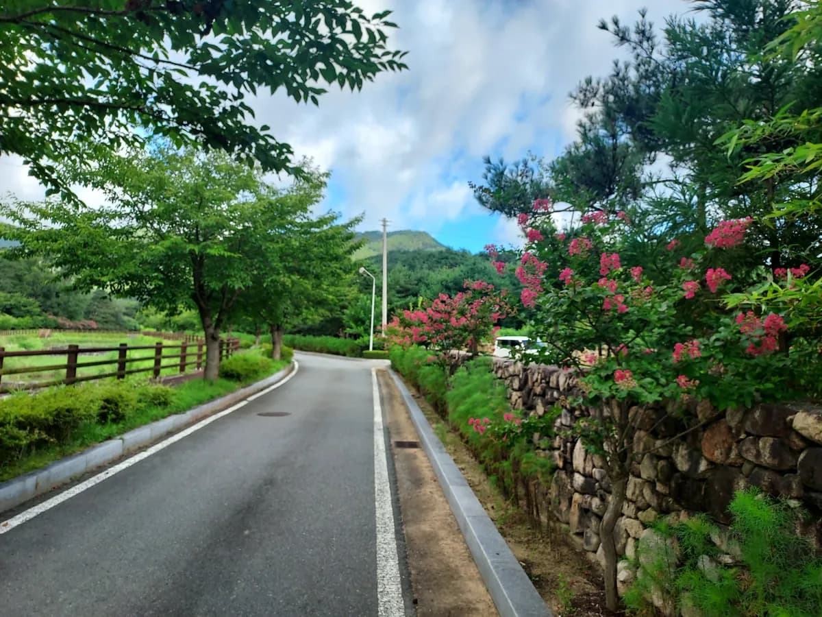 학림원 이미지 5