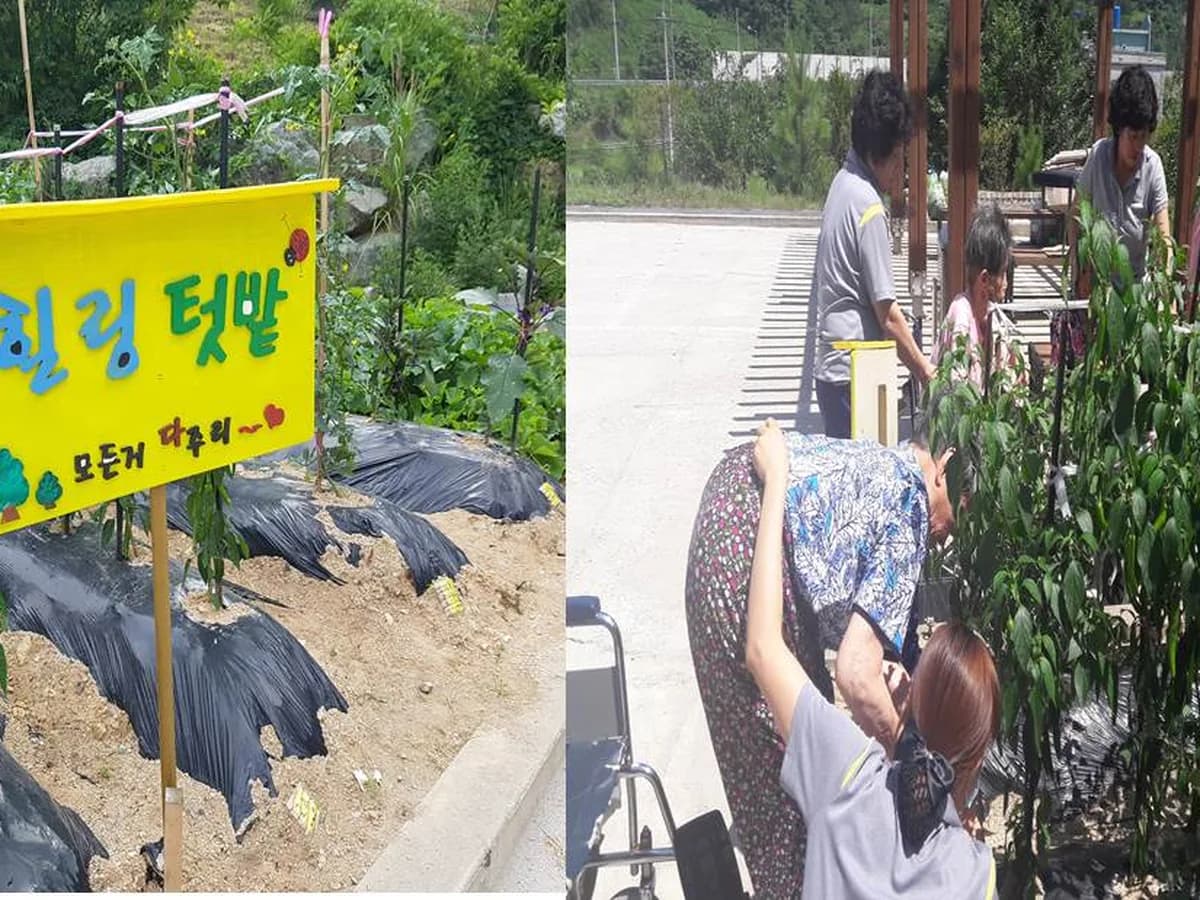 고흥종합노인요양원 이미지 2