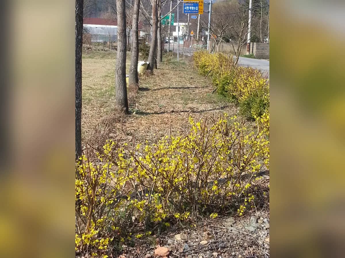 사평예랑의집 이미지 3