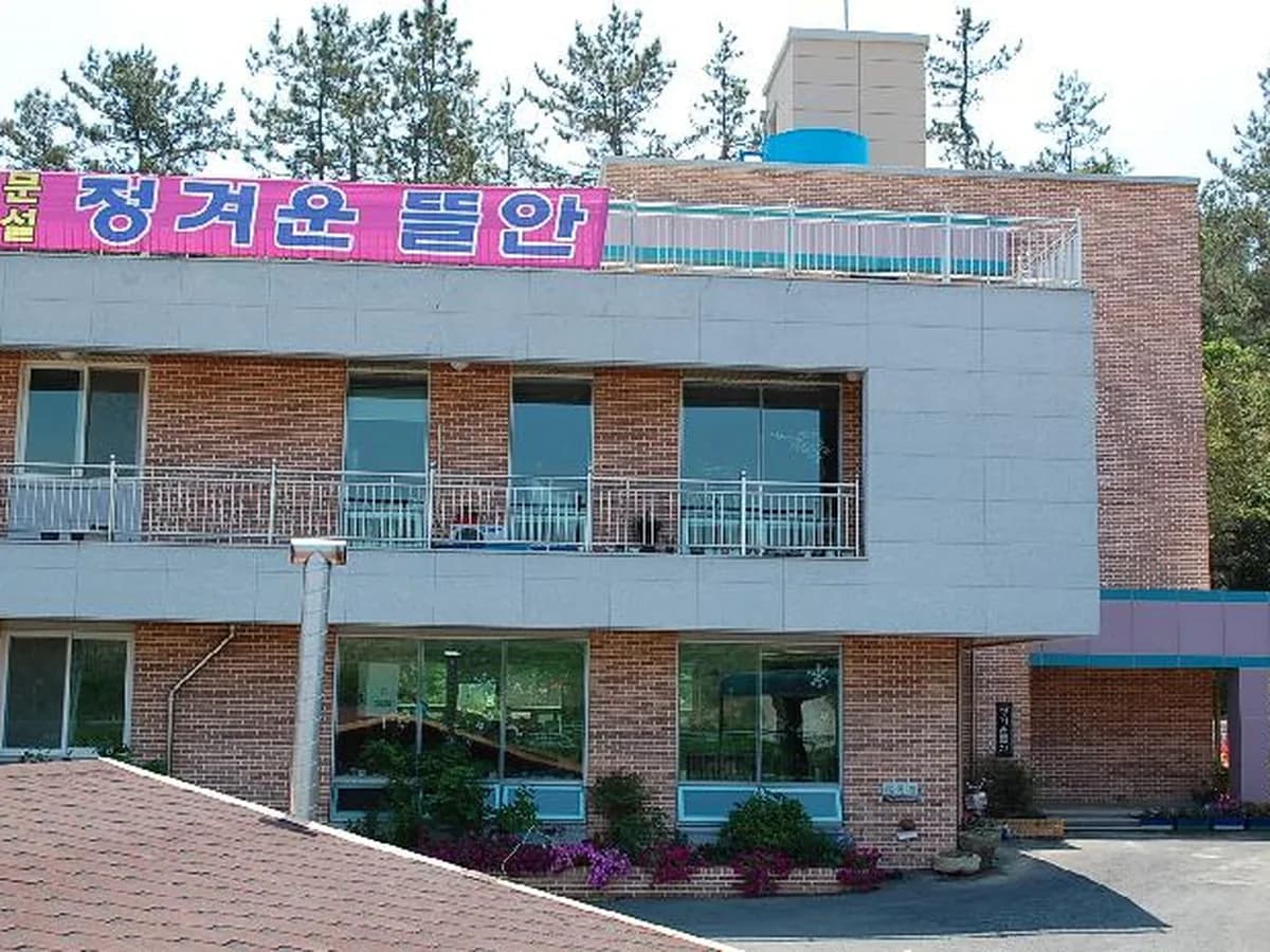 정겨운 뜰안 이미지 5
