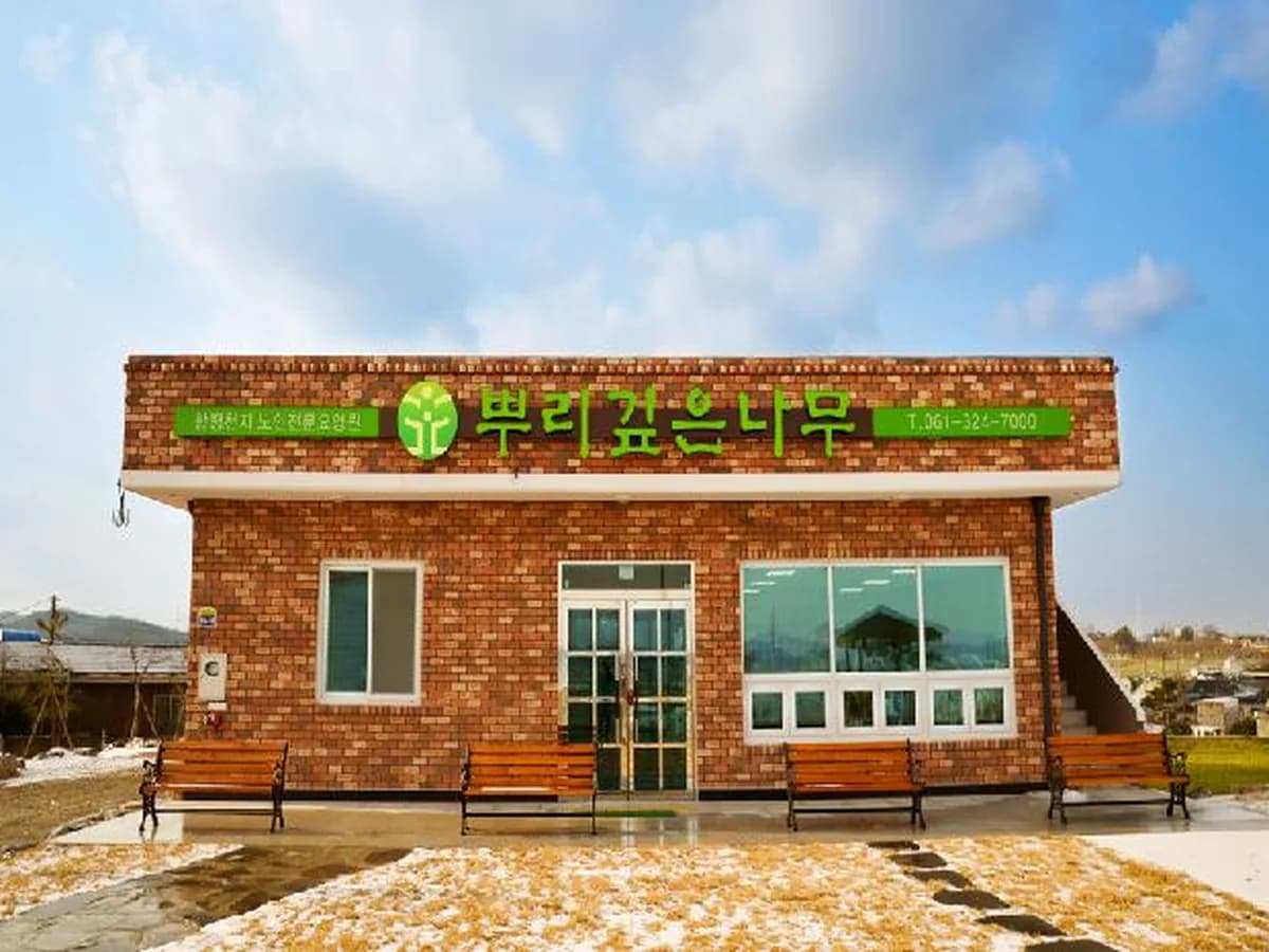 뿌리깊은나무 이미지 1