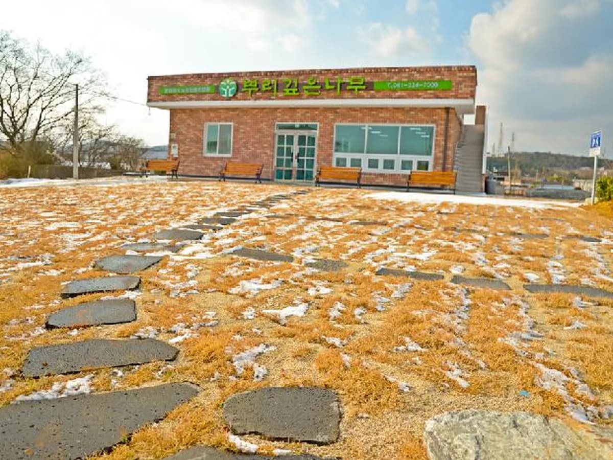뿌리깊은나무 이미지 2