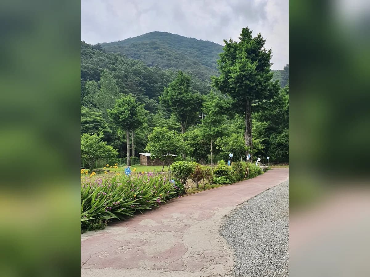백향목의 집 이미지 2