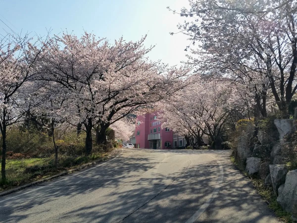 비룡노인전문요양원 이미지 1