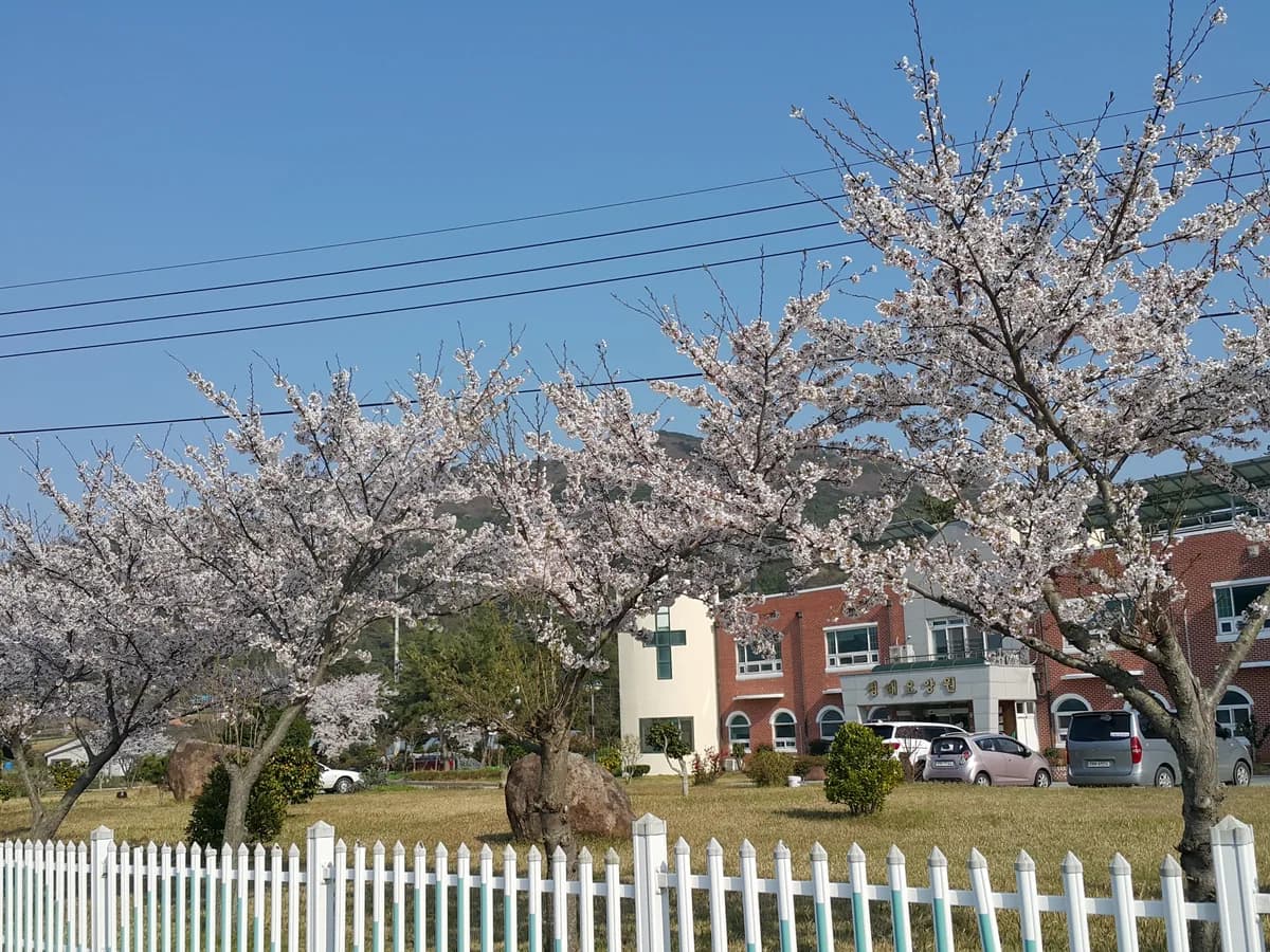 청해요양원 이미지 3