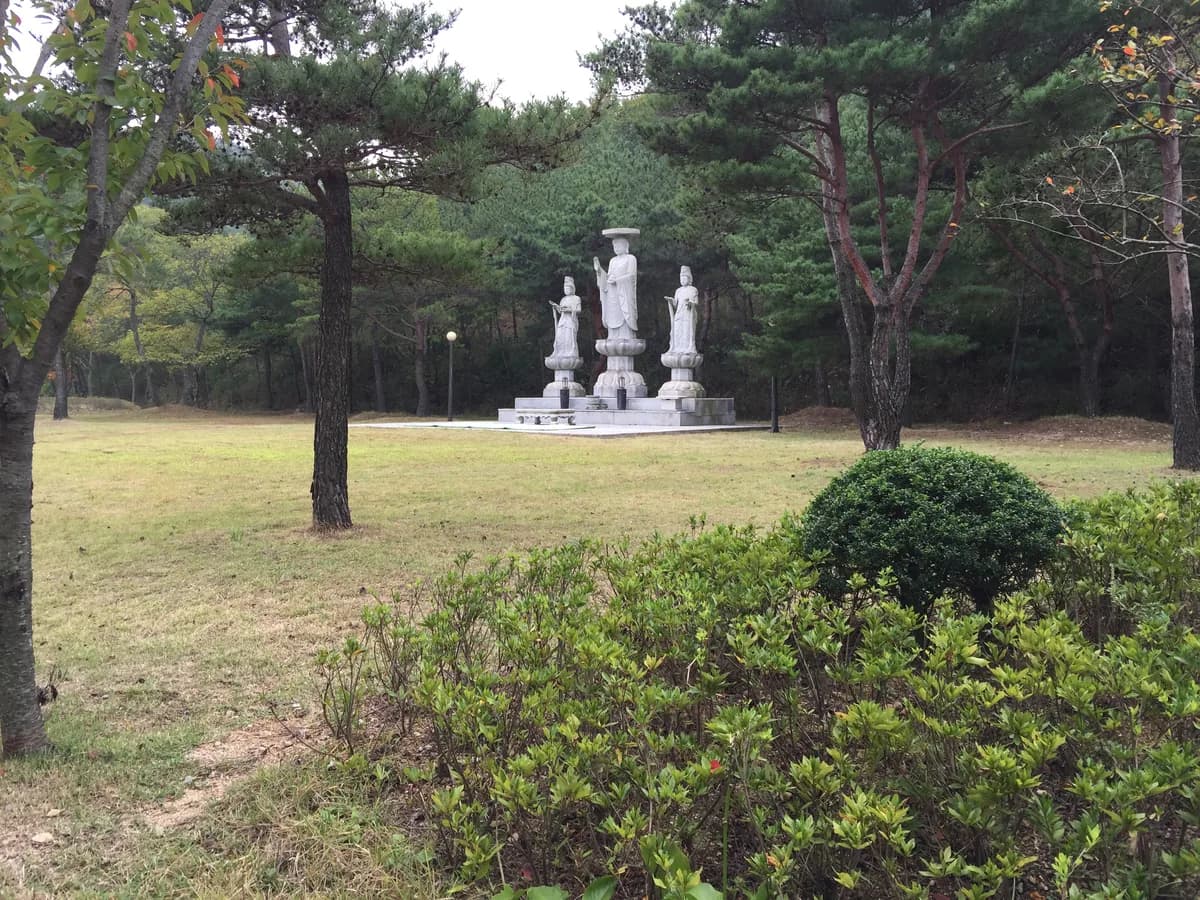 정애원 이미지 5