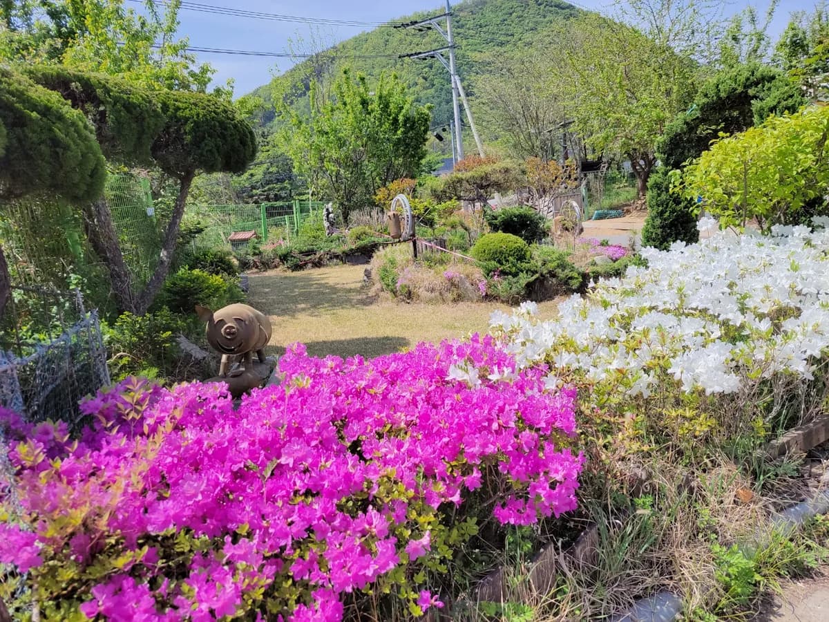 손안애 복 요양원 이미지 1