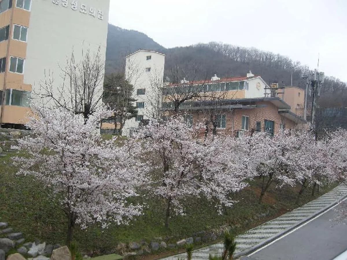 월명성모의 집 노인전문요양원 이미지 4