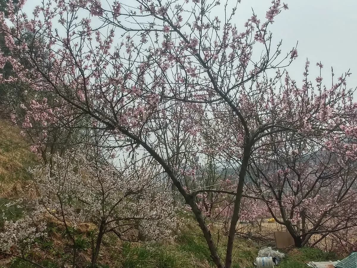 송천실버홈 이미지 3