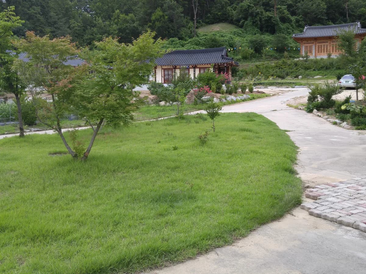 청룡사연꽃마을요양원 이미지 2