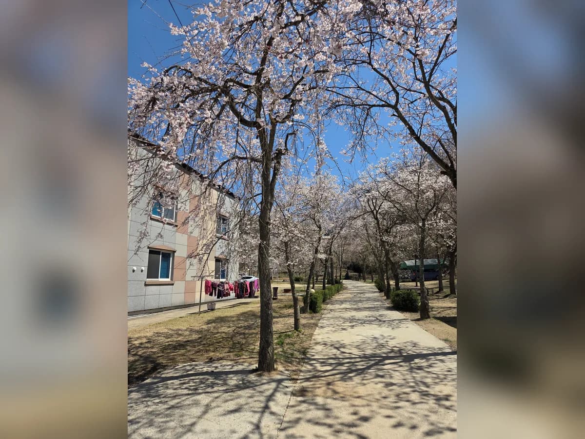 전원일기요양원 이미지 1
